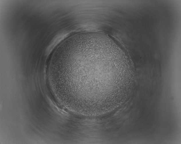 X0000051880194200506241422