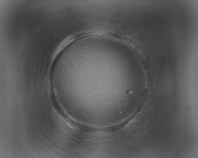 X0000051880198200506241422