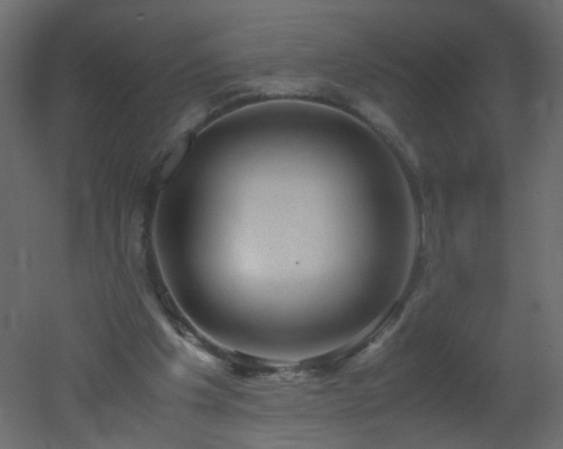 X0000051880201200506241422