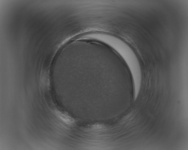 X0000051880204200506241422