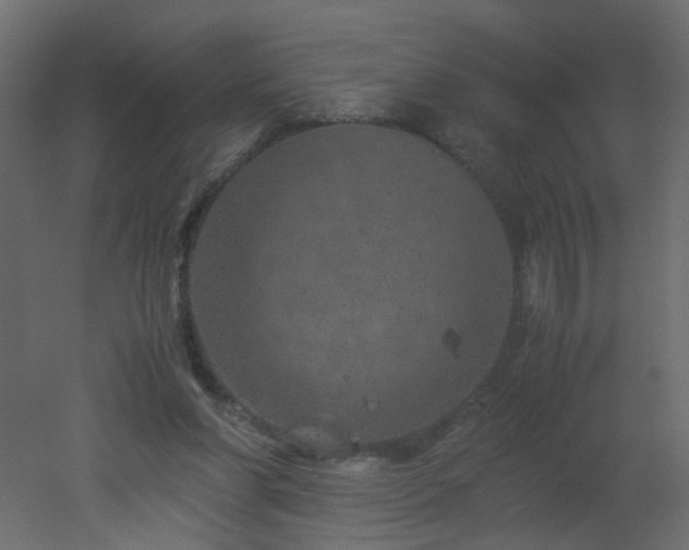 X0000051880206200506241422