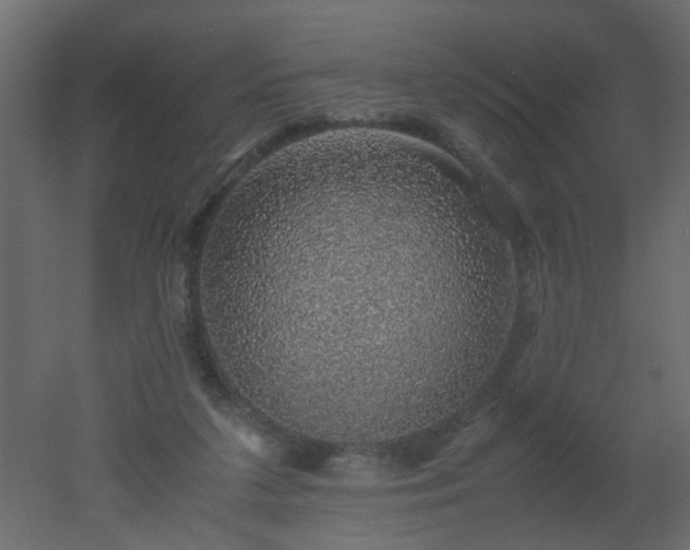 X0000051880211200506241422