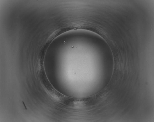 X0000051880216200506241422