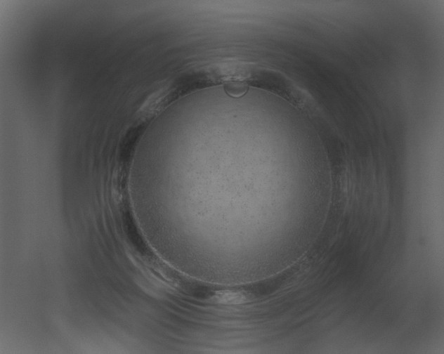 X0000051880218200506241422