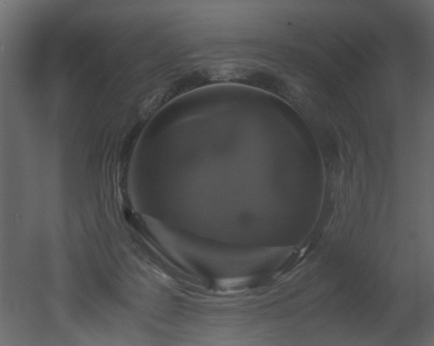 X0000051880219200506241422