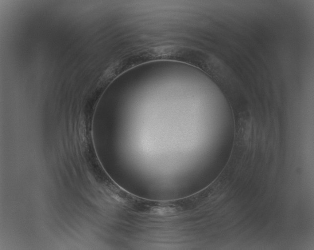 X0000051880220200506241422