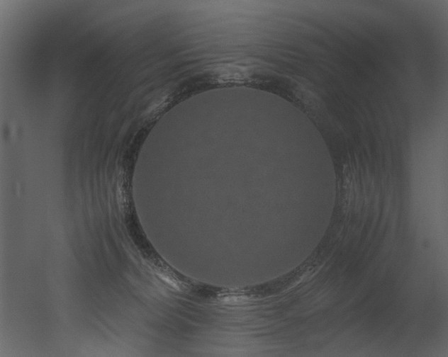 X0000051880228200506241422