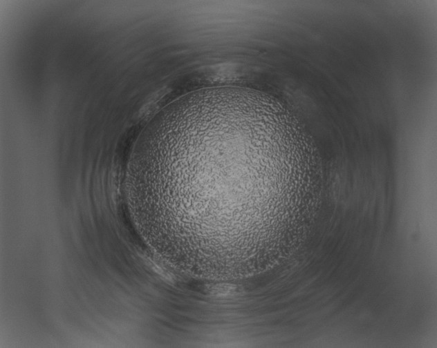 X0000051880230200506241422