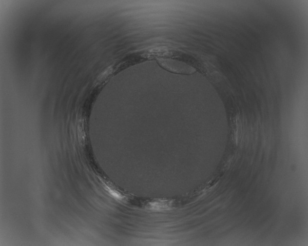 X0000051880232200506241422