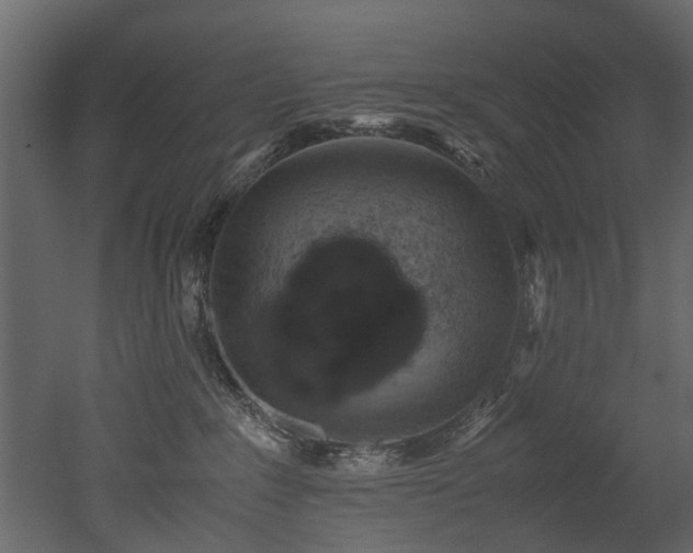X0000051880235200506241422