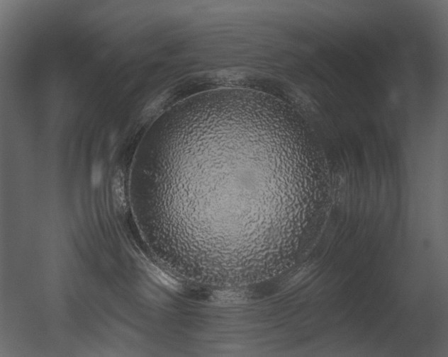 X0000051880238200506241422