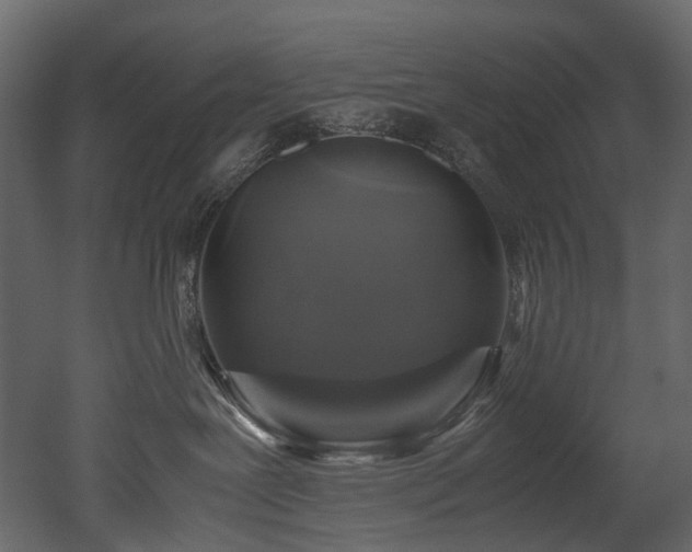 X0000051880239200506241422