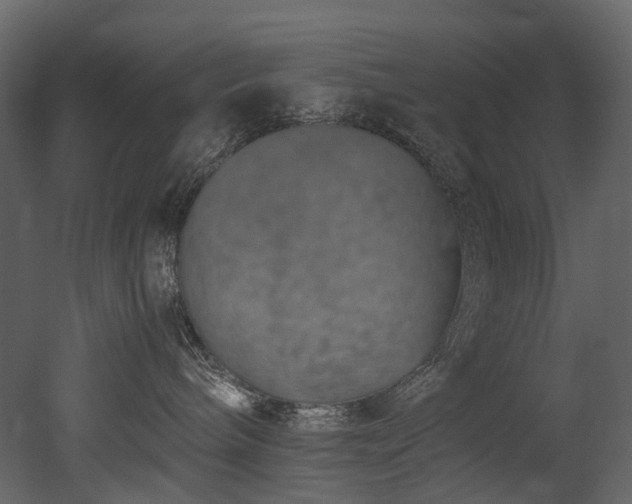 X0000051880240200506241422