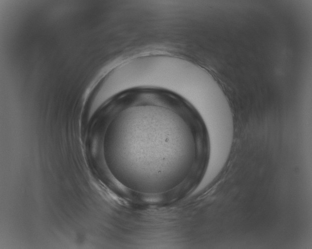 X0000051880244200506241421