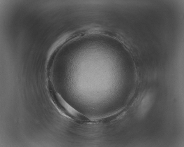 X0000051880245200506241421