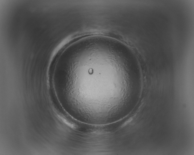 X0000051880246200506241421