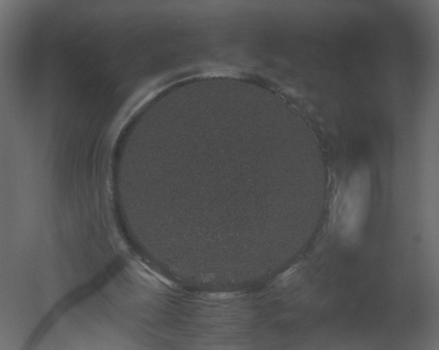 X0000051880247200506241421