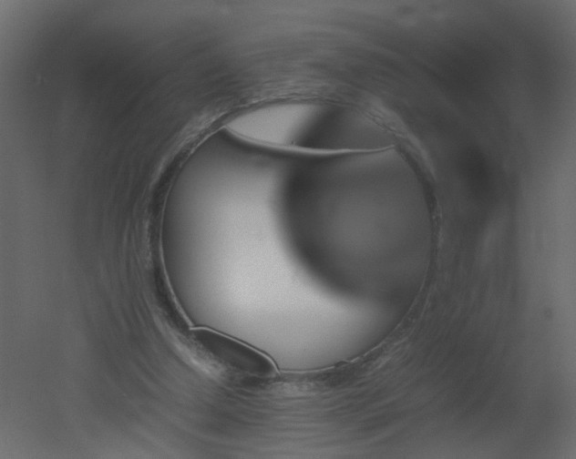 X0000051880250200506241421