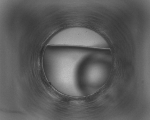 X0000051880251200506241421