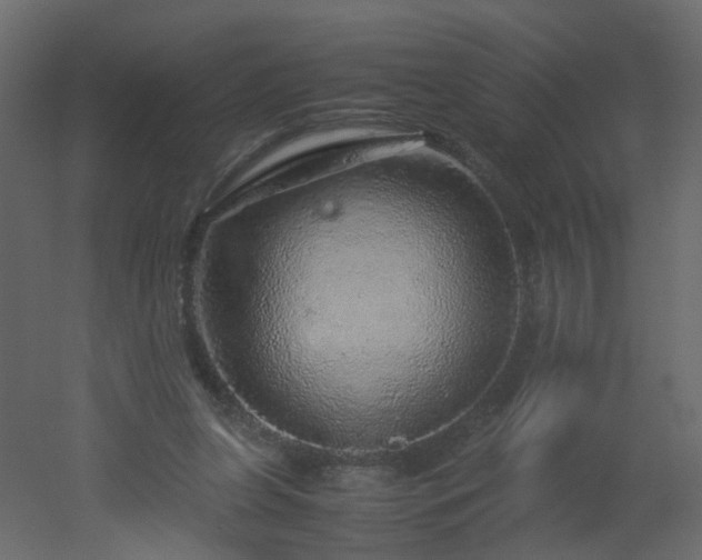 X0000051880255200506241421