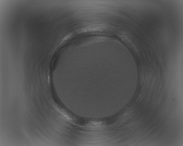 X0000051880260200506241421