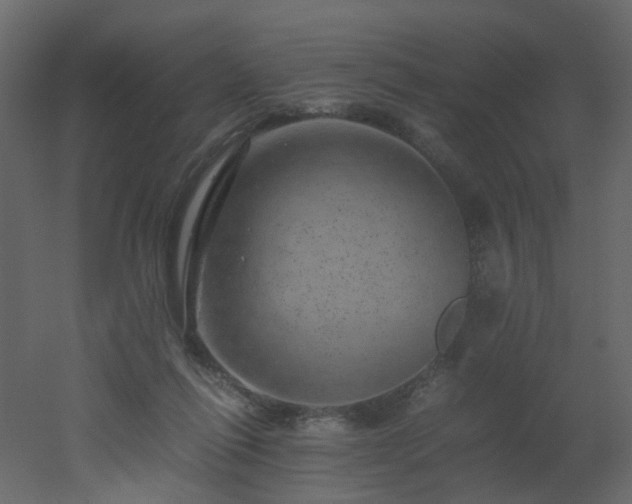 X0000051880262200506241421