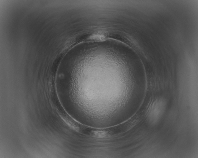 X0000051880265200506241421