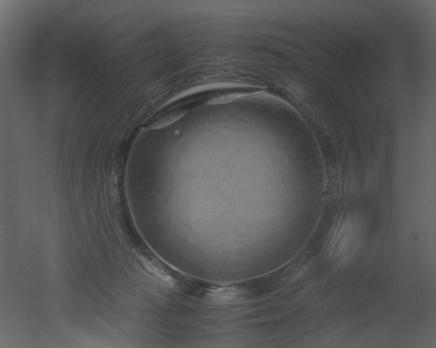 X0000051880269200506241421