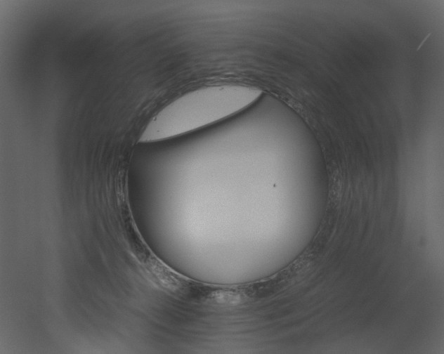 X0000051880272200506241421