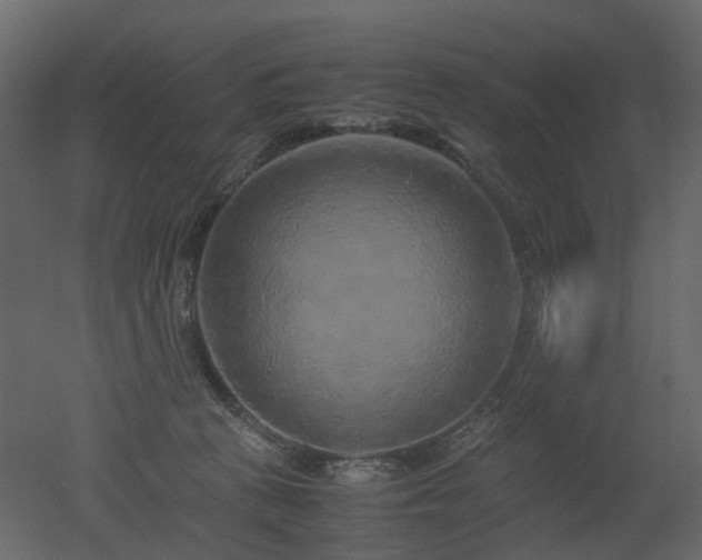 X0000051880273200506241421