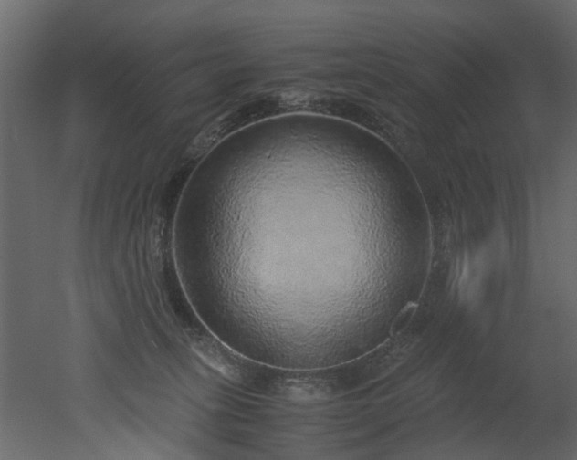 X0000051880275200506241421