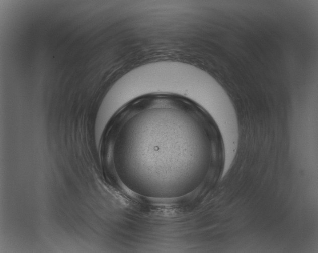 X0000051880276200506241421