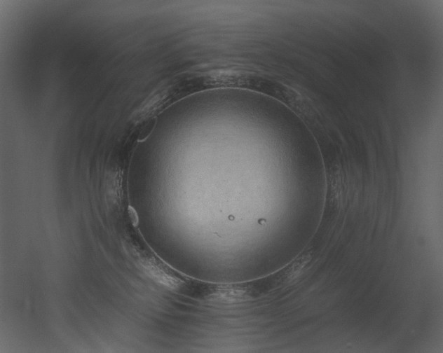X0000051880278200506241421