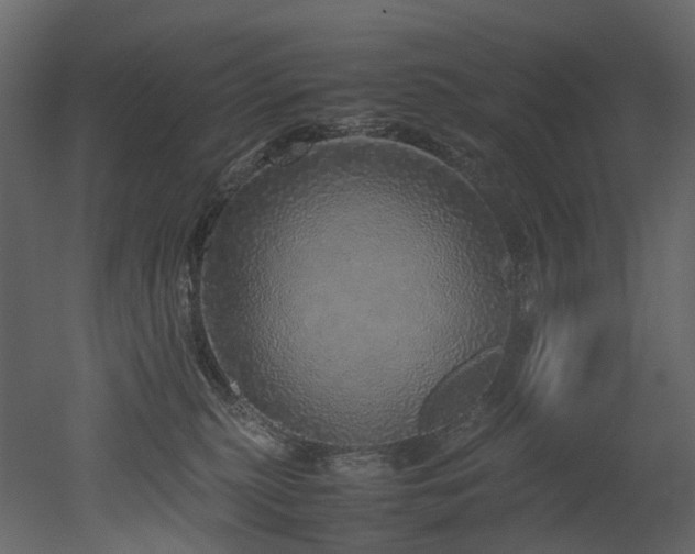 X0000051880279200506241421