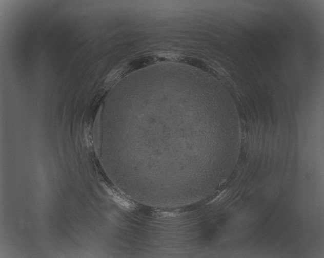 X0000051880285200506241421