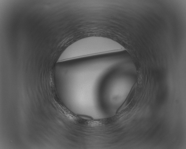X0000051880287200506241421