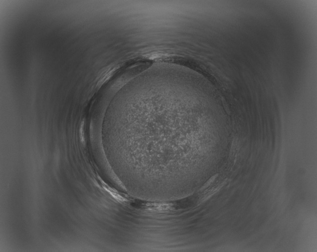 X0000051880288200506241421