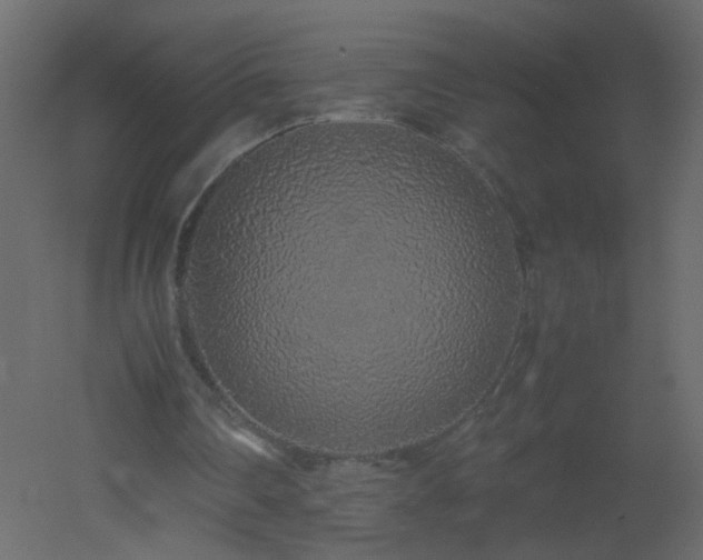 X0000051880290200506241421
