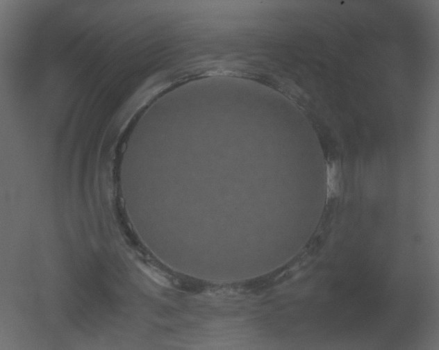 X0000051880291200506241421