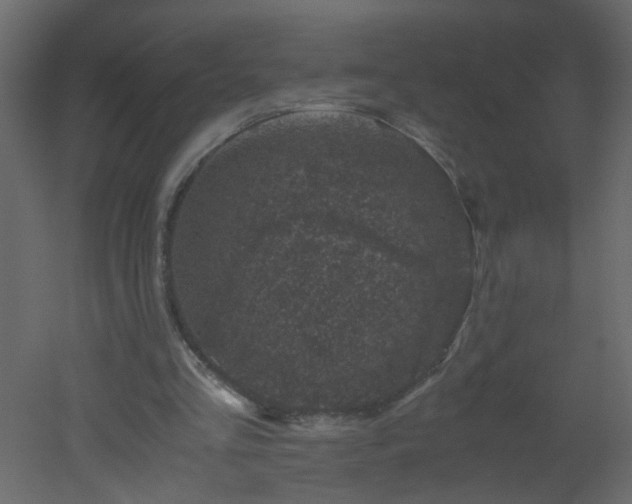 X0000051880293200506241421