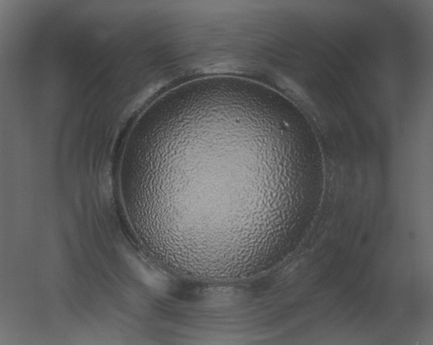 X0000051880298200506241421