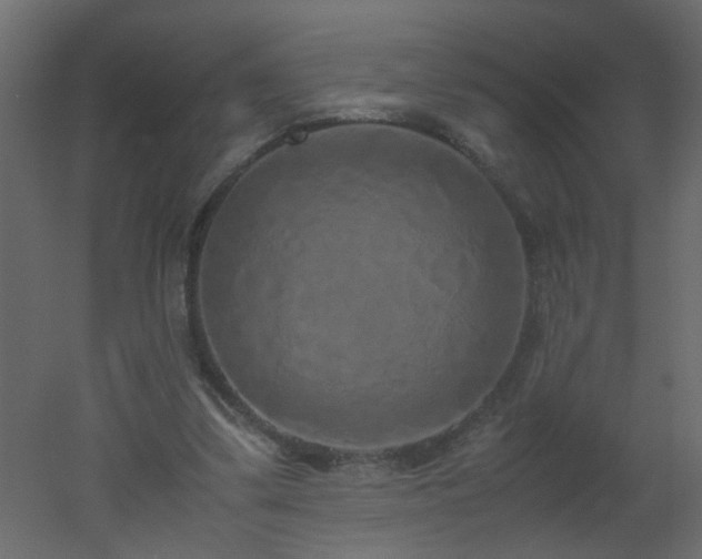 X0000051880299200506241421