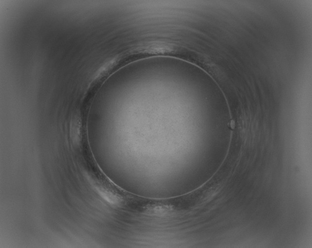 X0000051880304200506241420