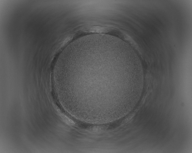 X0000051880305200506241420