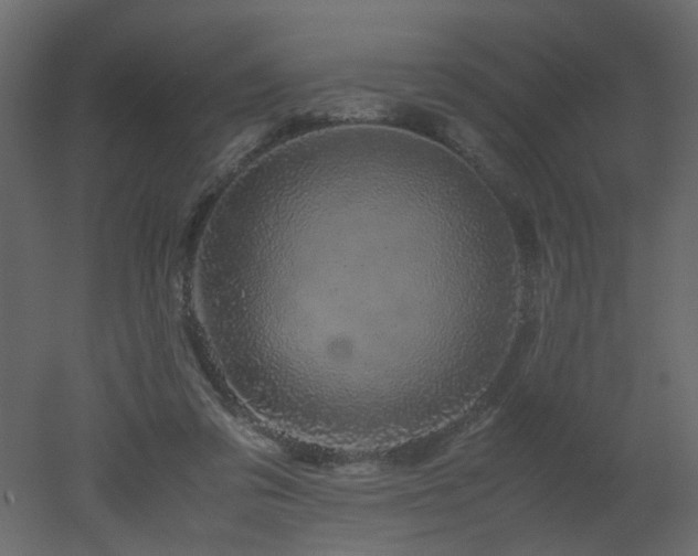 X0000051880309200506241420