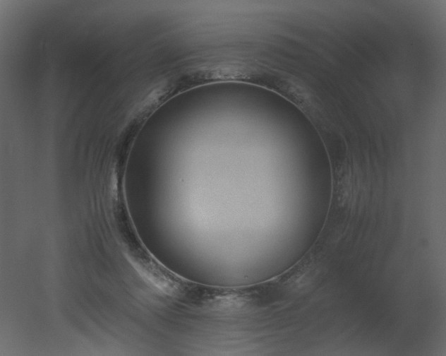 X0000051880310200506241420