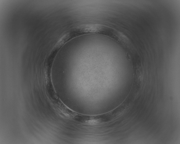 X0000051880312200506241420