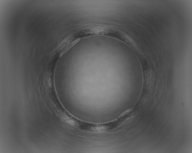 X0000051880313200506241420