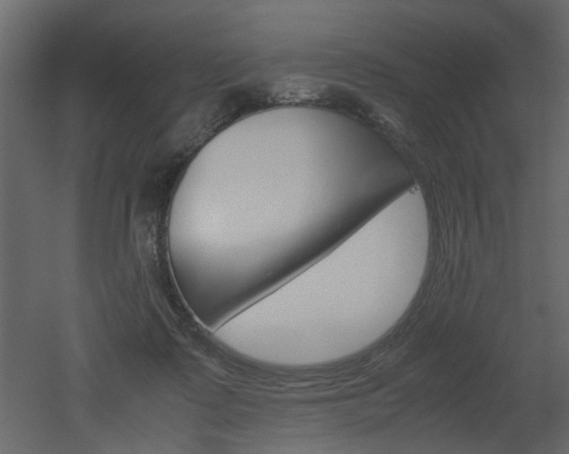 X0000051880315200506241420