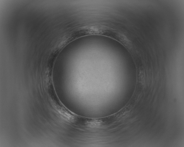 X0000051880318200506241420